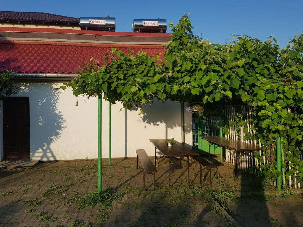 Vila Orizont Венус Екстериор снимка