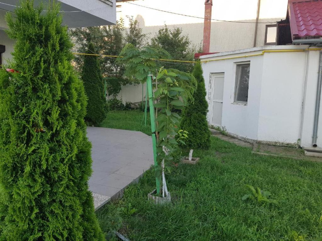 Vila Orizont Венус Екстериор снимка